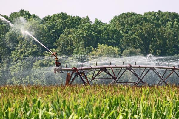 Commercial, Industrial, & Agricultural Programs